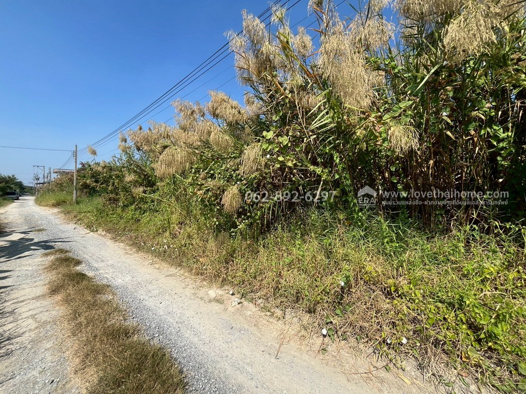 ขายที่ดินสวย บางบัวทอง ซอยวัดลาดปลาดุก โอกาสทองที่ห้ามพลาด ที่ดินถมแล้ว พื้นที่ 100 ตรว. แปลงสวยติดถนน ราคาพิเศษ 15,000 บาท/ตรว.เท่านั้น ด่วนมีจำนวนจำกัดพลาดแล้วพลาดเลย ที่ดินราคาหลักล้านต้นๆ บนทำเลที่คุณจับต้องได้ง่ายๆ