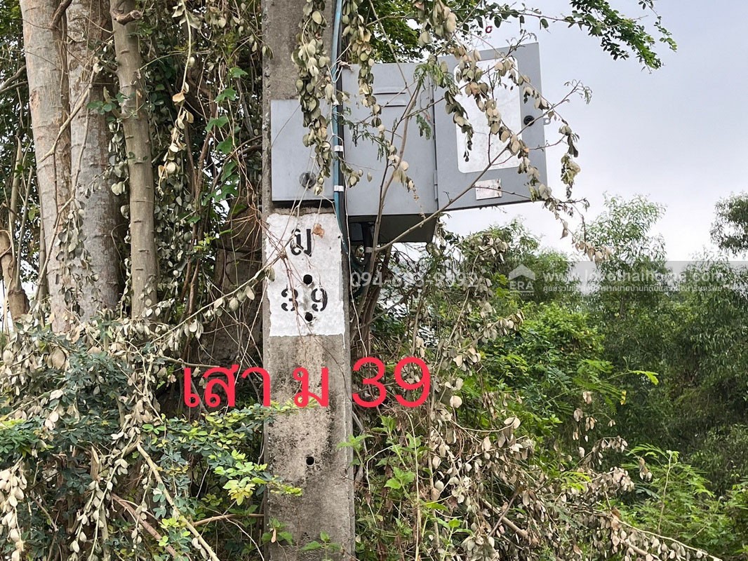 ขายที่ดินสวย ถูก ถนนเลียบวารี35 พื้นที่ 416 ตรว. ลดราคาพิเศษต้อนรับ ปี 69 ขายเพียง 8,500 บาท/ตรว. ด่วนๆเลยค่ะ