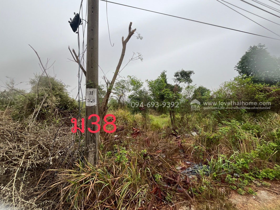 ขายที่ดินสวย ถูก ถนนเลียบวารี35 พื้นที่ 416 ตรว. ลดราคาพิเศษต้อนรับ ปี 69 ขายเพียง 8,500 บาท/ตรว. ด่วนๆเลยค่ะ