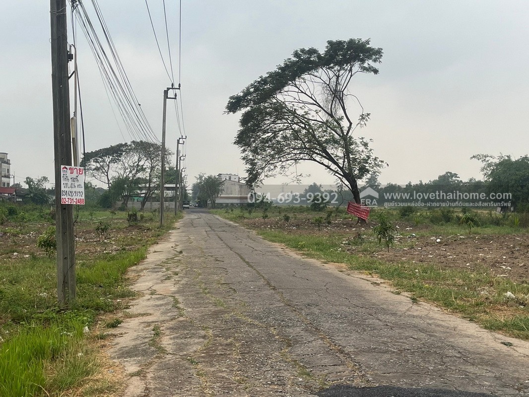 ขายที่ดินสวย ถูก ถนนเลียบวารี35 พื้นที่ 416 ตรว. ลดราคาพิเศษต้อนรับ ปี 69 ขายเพียง 8,500 บาท/ตรว. ด่วนๆเลยค่ะ