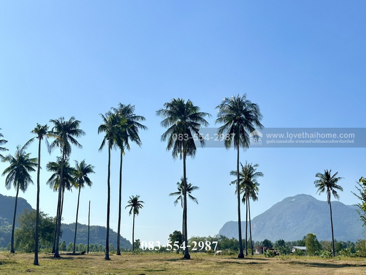 ขายที่ดินสวยปราณบุรี โครงการมัลดีฟรีสอร์ท@ปราณบุรี สามร้อยยอด ประจวบคีรีขันธ์ ใกล้ทะเลปราณบุรี พื้นที่19-1-58.7ไร่ ราคา32ล้าน ภูเขาล้อมรอบ270องศา ใกล้หาดนมสาว ถนนสามารถบรรทุกเรือลงทะเลได้