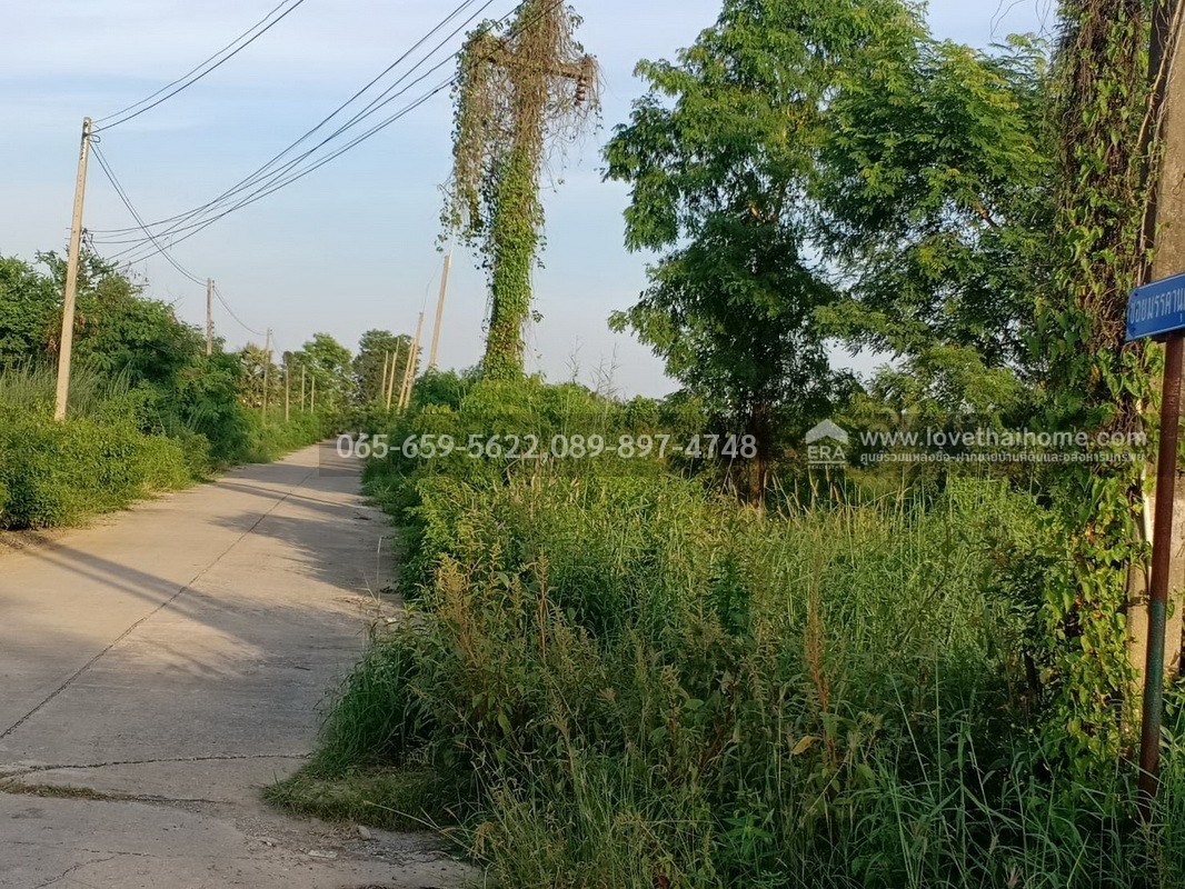 ขายที่ดิน ลำลูกกา(คลอง10) ซ.มรรคานุคา ปทุมธานี ติดถนนเมน ใกล้วัดนาป่าพง พื้นที่157.50ตร.วา ราคา920,000บาท ขายต่ำกว่าราคาตลาด มาเป็นเจ้าของด่วน! ช้าอาจหมด