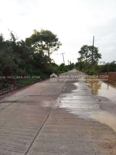 ขายที่ดิน ลำลูกกา(คลอง10) ซ.มรรคานุคา ปทุมธานี ติดถนนเมน ใกล้วัดนาป่าพง พื้นที่157.50ตร.วา ราคา920,000บาท ขายต่ำกว่าราคาตลาด มาเป็นเจ้าของด่วน! ช้าอาจหมด