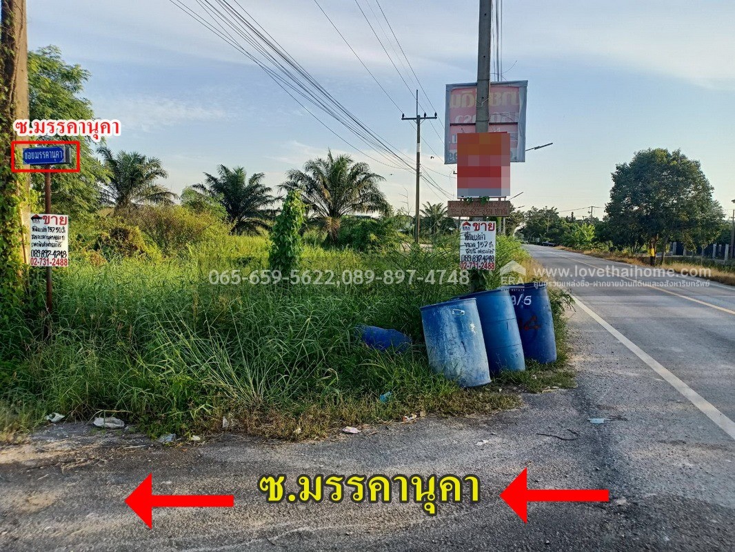 ขายที่ดิน ลำลูกกา(คลอง10) ซ.มรรคานุคา ปทุมธานี ติดถนนเมน ใกล้วัดนาป่าพง พื้นที่157.50ตร.วา ราคา920,000บาท ขายต่ำกว่าราคาตลาด มาเป็นเจ้าของด่วน! ช้าอาจหมด