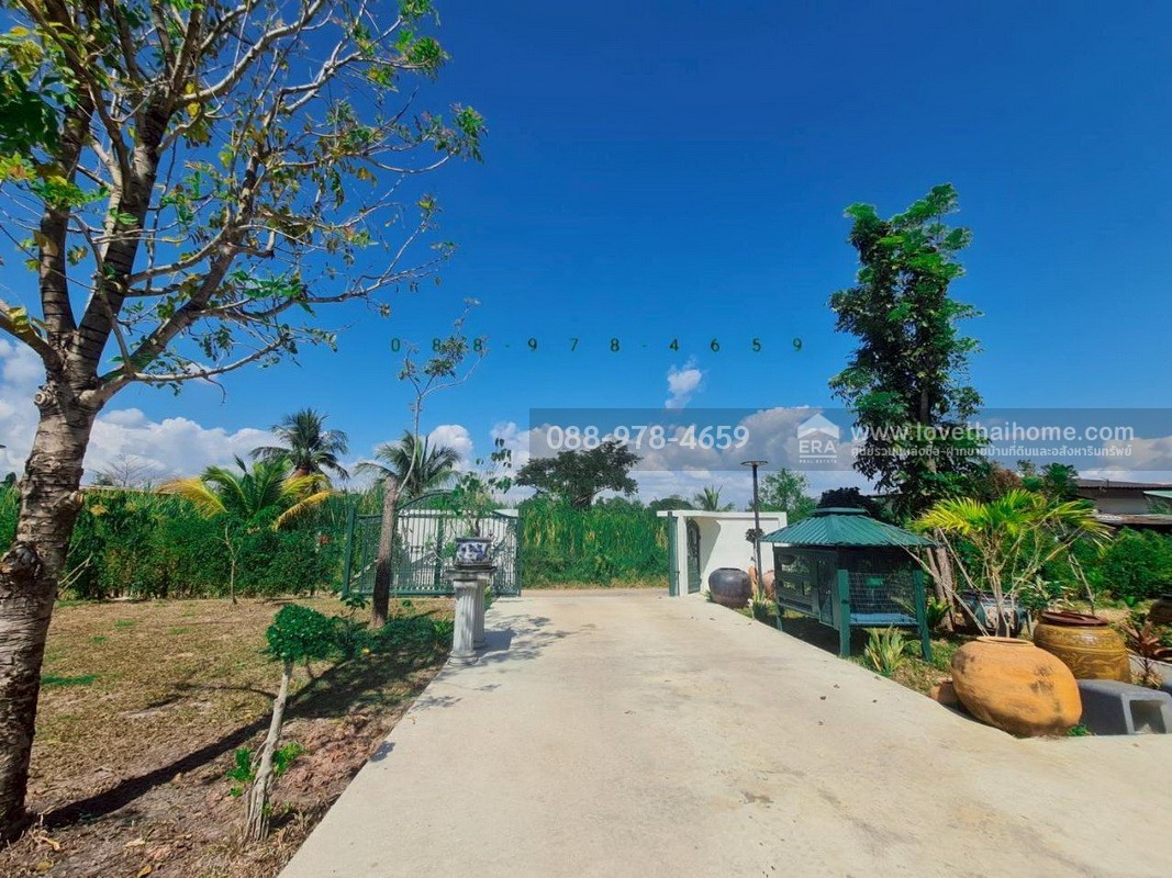 ขายบ้านเดี่ยว 2 ชั้น ลำลูกกา คลอง14 บึงคอไห ปทุมธานี พื้นที่ 200 ตรว. ขาย 3.8 ล้านบาท ติดบริษัทไทยภักดี ใกล้สนามกอล์ฟเรนวูด ปาร์ค เพียง 7 กม. บรรยากาศดี พร้อมอยู่ อายุ 2 ปี (บ้านใหม่)