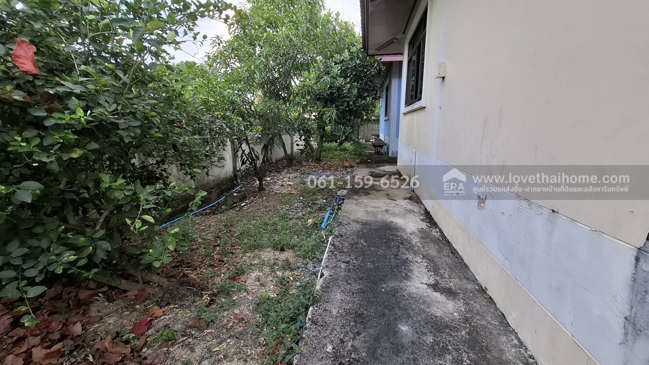 ขายบ้านเดี่ยว คลองสาม1/13 คลองหลวง ปทุมธานี พื้นที่ 102 ตรว. สภาพพร้อมอยู่ ใกล้แหล่งชุมชน เข้าซอยเพียง 600 เมตร ขายถูกมากๆ เพียง 1.85 ล้าน ขายต่ำกว่าราคาประเมิน