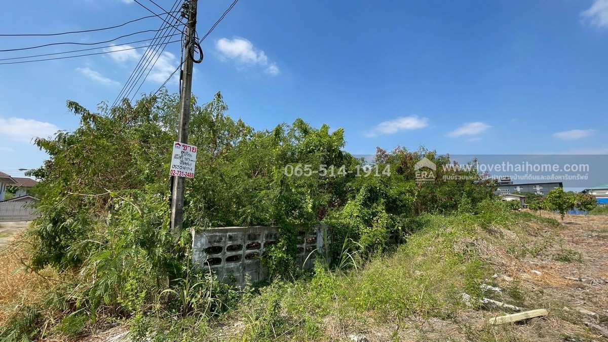 ขายที่ดิน ถนนกำแพงเพชร6 ตำบลหลักหก ปทุมธานี ที่ดินสวย ทำเลดี ใกล้สถานีรถไฟหลักหก (ม.รังสิต) เพียง 350 เมตร เนื้อที่ 185.6 ตร.ว. หน้ากว้าง 23 เมตร ลึก 32 เมตร หันหน้าไปทางทิศตะวันออกเฉียงใต้ ขายราคา 25 ล้าน