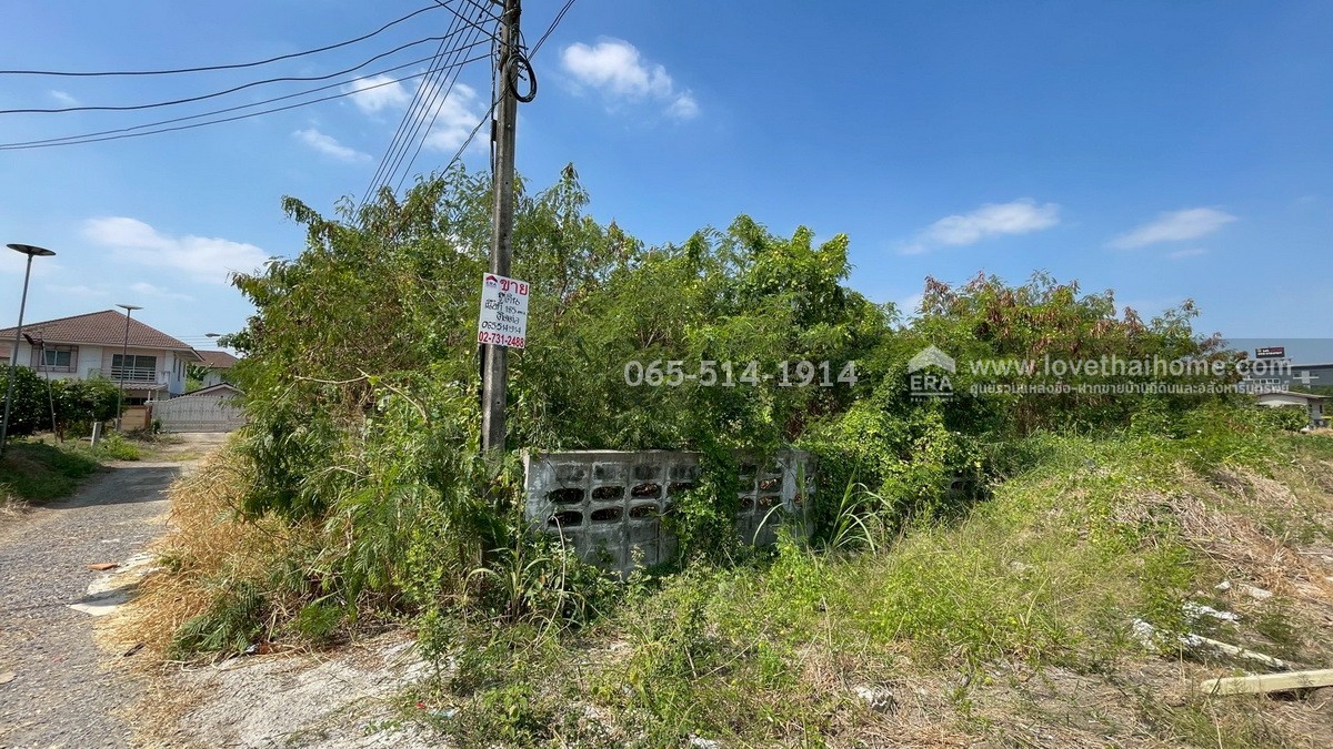 ขายที่ดิน ถนนกำแพงเพชร6 ตำบลหลักหก ปทุมธานี ที่ดินสวย ทำเลดี ใกล้สถานีรถไฟหลักหก (ม.รังสิต) เพียง 350 เมตร เนื้อที่ 185.6 ตร.ว. หน้ากว้าง 23 เมตร ลึก 32 เมตร หันหน้าไปทางทิศตะวันออกเฉียงใต้ ขายราคา 25 ล้าน