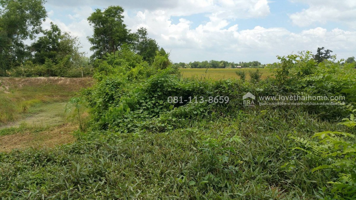 ขายที่ดิน อำเภอเมืองสุพรรณบุรี พื้นที่ 4 ไร่ ขายเพียง 2 ล้านบาท ถมแล้ว ถ้าชอบต่อรองได้