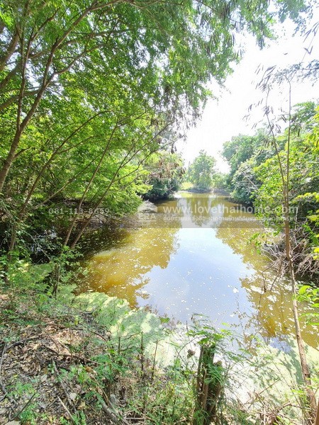 ขายที่ดิน อำเภอเมืองสุพรรณบุรี พื้นที่ 4 ไร่ ขายเพียง 2 ล้านบาท ถมแล้ว ถ้าชอบต่อรองได้