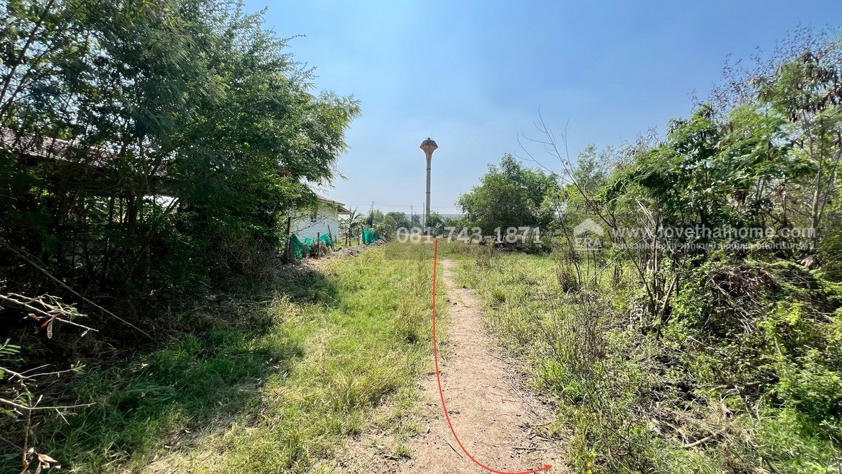 ขายที่ดิน สวนเกษตร-สวนเอก ปทุมธานี-บางเลน ราคาถูกที่สุด บนพื้นที่ 140 ตรว. ขายแค่ 5 แสนบาทเท่านั้น ต้นโครงการ หลังแปลงติดบึงน้ำ บางเลน จ.นครปฐม