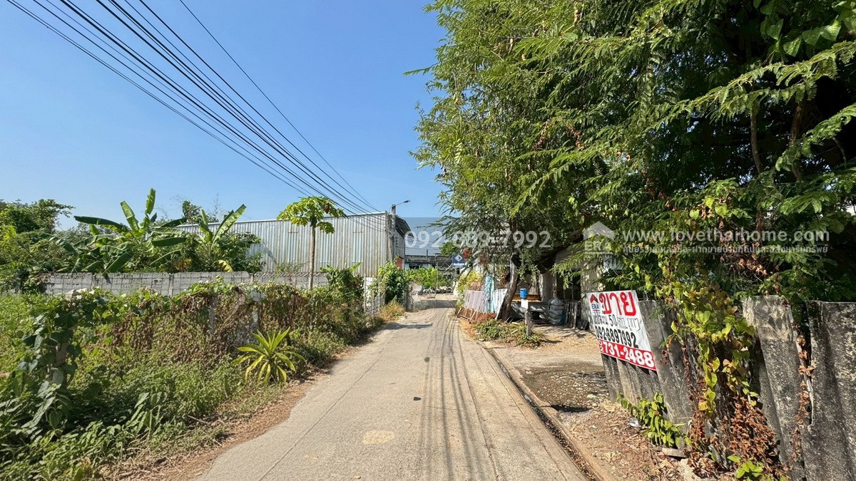 ขายที่ดิน ถนนเพชรเกษม79 ซอย14 พื้นที่ 50 ตรว. ขาย 1.4 ล้านบาท ทำเลดี ใกล้ตลาดสด เพชรเกษม79